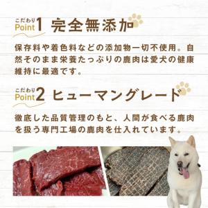 ふるさと納税 愛犬用 定期便6ヶ月間 さろまジ...の詳細画像2