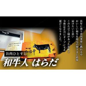 ふるさと納税 【定期便12ヶ月】仙台牛サーロイ...の詳細画像1