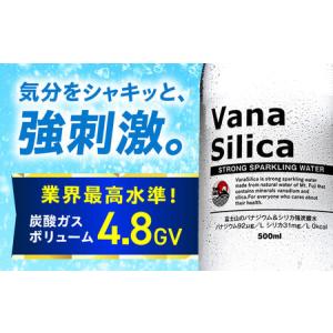 ふるさと納税 【全3回定期便】【2ヵ月に1回お...の詳細画像3