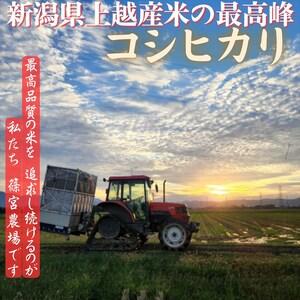 ふるさと納税 令和8年産【10月下旬配送】 新...の詳細画像4