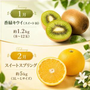 ふるさと納税 フルーツ 果物 定期便 12回 ...の詳細画像1