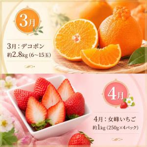 ふるさと納税 フルーツ 果物 定期便 12回 ...の詳細画像2