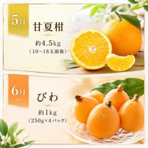 ふるさと納税 フルーツ 果物 定期便 12回 ...の詳細画像3