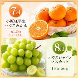 ふるさと納税 フルーツ 果物 定期便 12回 ...の詳細画像4