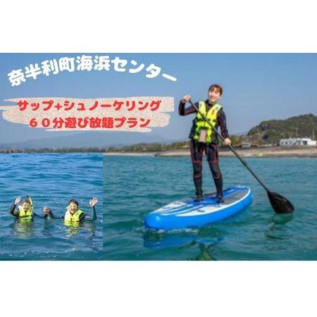 ふるさと納税 116025　サップ＋シュノーケリング60分遊び放題プラン利用券（１名） 期間限定 春...