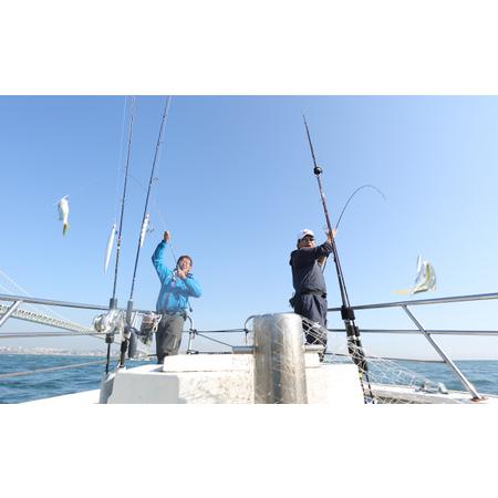 ふるさと納税 釣り船魚英　乗船券1枚 兵庫県明石市