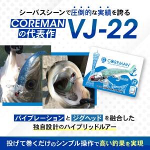 ふるさと納税 コアマン VJ-22バイブレーシ...の詳細画像2