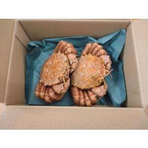 ふるさと納税 毛ガニ300g×2杯(冷凍茹で)...の詳細画像1