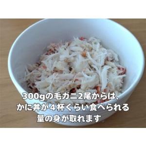ふるさと納税 毛ガニ300g×2杯(冷凍茹で)...の詳細画像4