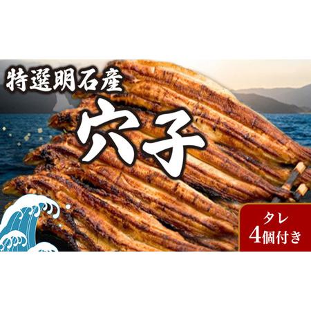 ふるさと納税 特選明石産炭焼き穴子（タレ4個付き） うなぎ 鰻 魚貝類 加工食品  兵庫県明石市