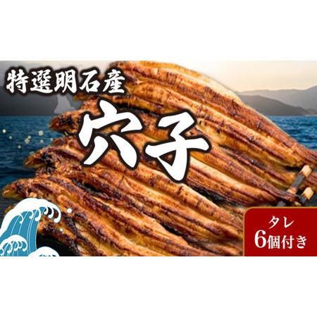 ふるさと納税 特選明石産炭焼き穴子（タレ6個付き） うなぎ 鰻 魚貝類 加工食品  兵庫県明石市