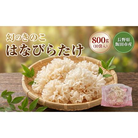 ふるさと納税 生 はなびらたけ | きのこ 長野県 飯田市 長野県飯田市