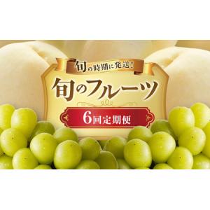 ふるさと納税 【2026年先行受付】 白桃 シャインマスカット 晴王 6回 定期便 桃 ぶどう 岡山県産 御中元 ギフト 御礼 プレゼント 御礼 御祝 御供.. 岡山県高梁市