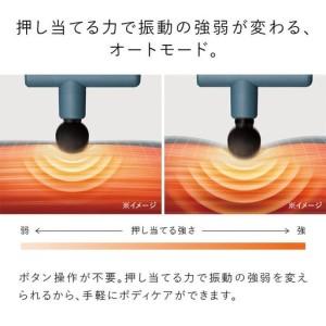 ふるさと納税 ＼限定寄附額/SIXPAD Po...の詳細画像2