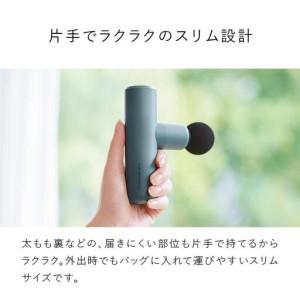 ふるさと納税 ＼限定寄附額/SIXPAD Po...の詳細画像3