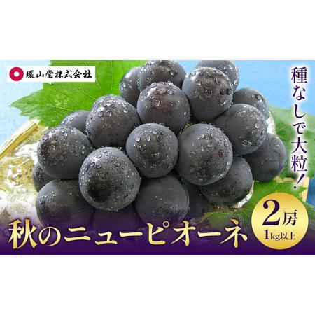 ふるさと納税 【2026年先行予約】秋の ニューピオーネ 2房 1kg以上 環山堂株式会社《2026...