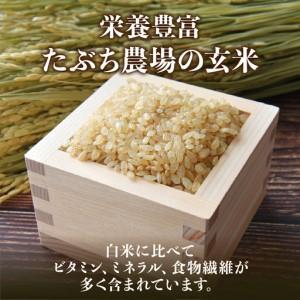 ふるさと納税 玄米1位獲得!寄付額改定〈スピー...の詳細画像1
