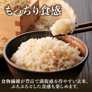ふるさと納税 玄米1位獲得!寄付額改定〈スピー...の詳細画像2