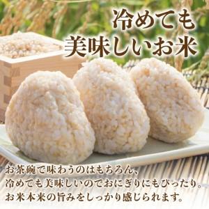 ふるさと納税 玄米1位獲得!寄付額改定〈スピー...の詳細画像4