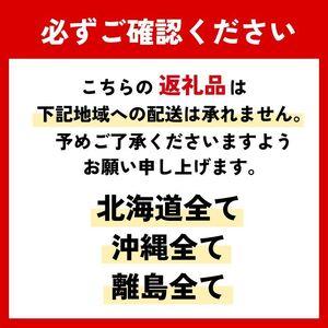 ふるさと納税 レザーペンケース 1個 選べる革...の詳細画像4