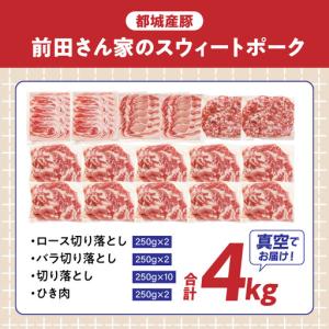 ふるさと納税 「前田さん家のスウィートポーク」...の詳細画像3