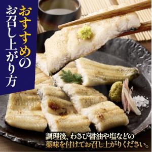 ふるさと納税 鹿児島県大隅産 うなぎ白焼 4尾...の詳細画像3