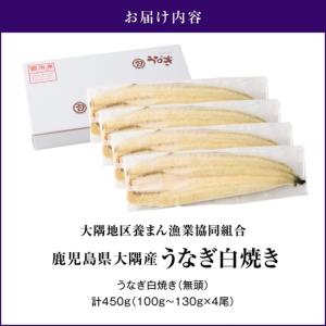 ふるさと納税 鹿児島県大隅産 うなぎ白焼 4尾...の詳細画像4