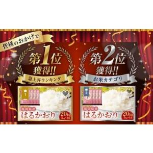 ふるさと納税 【令和7年産】はるかおり 精米 ...の詳細画像2