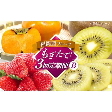 ふるさと納税 【全3回定期便】九州・福岡もぎたて フルーツ定期便 B　桂川町/一般社団法人地域商社ふ...