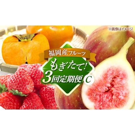 ふるさと納税 【全3回定期便】九州・福岡もぎたて フルーツ定期便 C　桂川町/一般社団法人地域商社ふ...