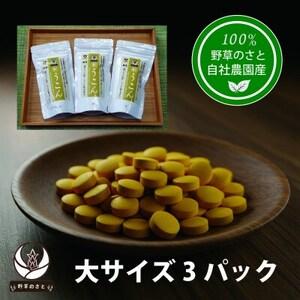 ふるさと納税 秋うこん 600粒×3パック【1670280】 山梨県