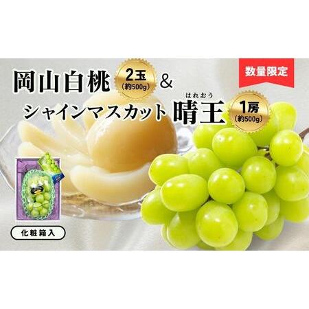 ふるさと納税 岡山白桃2玉（約500ｇ）＆シャインマスカット晴王1房（約500ｇ）化粧箱入|桃 もも...