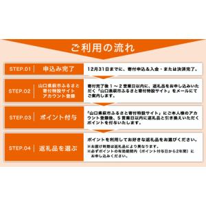 ふるさと納税 あとから選べる!萩市ふるさとギフ...の詳細画像1