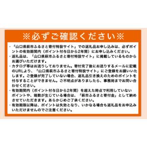 ふるさと納税 あとから選べる!萩市ふるさとギフ...の詳細画像2