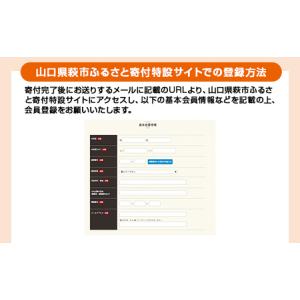 ふるさと納税 あとから選べる!萩市ふるさとギフ...の詳細画像3
