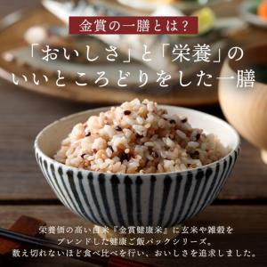 ふるさと納税 【金賞の一膳】十六雑穀米 パック...の詳細画像1