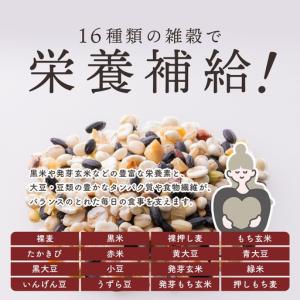 ふるさと納税 【金賞の一膳】十六雑穀米 パック...の詳細画像3