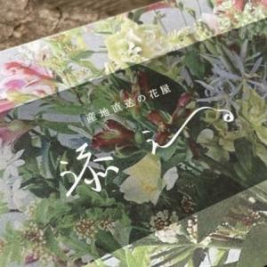 ふるさと納税 【毎月定期便】季節のおまかせブー...の詳細画像1