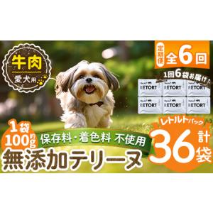 ふるさと納税 a1084-H 【6回定期便】＜保存料・着色料 不使用＞愛犬用無添加テリーヌ レトルトパック 牛テリーヌ6袋×6回(1袋約100g・合計.. 鹿児島県姶良市