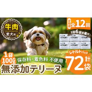 ふるさと納税 a1084-I 【12回定期便】＜保存料・着色料 不使用＞愛犬用無添加テリーヌ レトルトパック 牛テリーヌ6袋×12回(1袋約100g・合.. 鹿児島県姶良市