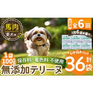 ふるさと納税 a1087-H 【6回定期便】＜保存料・着色料 不使用＞愛犬用無添加テリーヌ レトルトパック 馬テリーヌ6袋×6回(1袋約100g・合計.. 鹿児島県姶良市