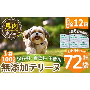 ふるさと納税 a1087-I 【12回定期便】＜保存料・着色料 不使用＞愛犬用無添加テリーヌ レトルトパック 馬テリーヌ6袋×12回(1袋約100g・合.. 鹿児島県姶良市