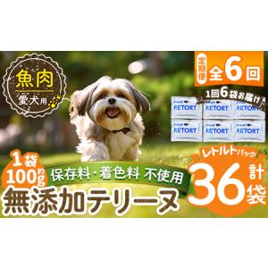 ふるさと納税 a1089-H 【6回定期便】＜保存料・着色料 不使用＞愛犬用無添加テリーヌ レトルトパック 魚テリーヌ6袋×6回(1袋約100g・合計.. 鹿児島県姶良市