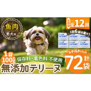 ふるさと納税 a1089-I 【12回定期便】＜保存料・着色料 不使用＞愛犬用無添加テリーヌ レトルトパック 魚テリーヌ6袋×12回(1袋約100g・合.. 鹿児島県姶良市