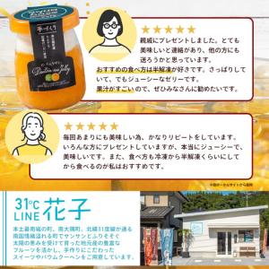 ふるさと納税 【全12回定期便】本土最南端より...の詳細画像2