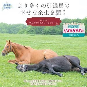 ふるさと納税 【100万円コース 返礼品無し】より多くの引退馬の幸せな余生を願う　Yogiboヴェルサイユリゾートファーム BRTV024-06 北海道平取町