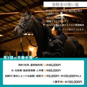 ふるさと納税 【100万円コース 返礼品無し】...の詳細画像2