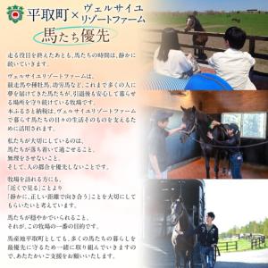 ふるさと納税 【100万円コース 返礼品無し】...の詳細画像4