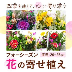 ふるさと納税 【12ヶ月定期便】フォーシーズン...の詳細画像1