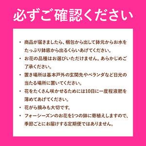 ふるさと納税 【12ヶ月定期便】フォーシーズン...の詳細画像2